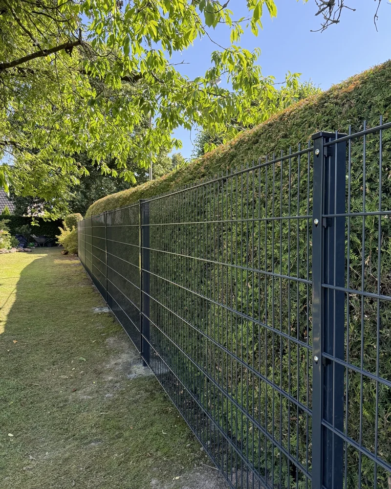 Neu gesetzter Metallzaun mit Hecke als Sichtschutz an der Grundstücksgrenze